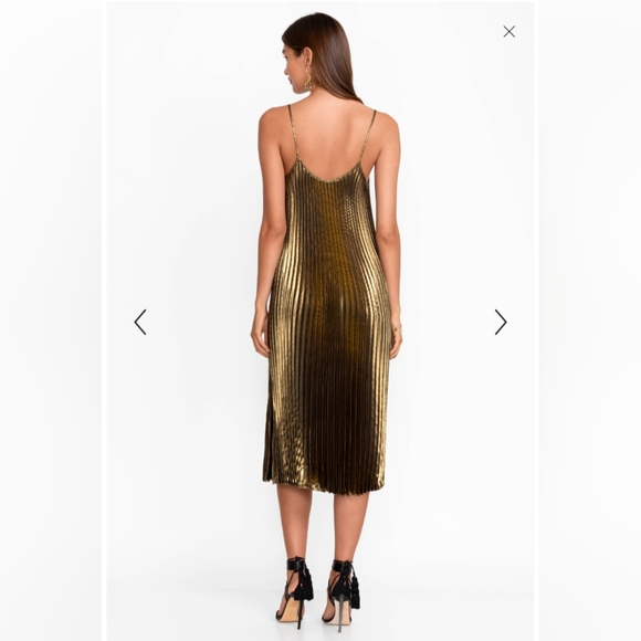 Johnny Was Golden Gem Pleated Midi Dress - Picture 6 of 14